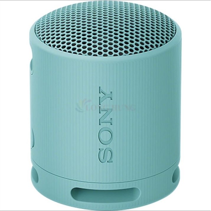 Loa Bluetooth Sony 1