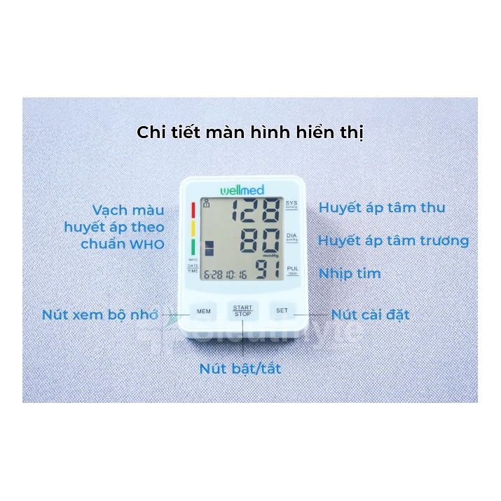 Máy đo huyết áp điện tử bắp tay Wellmed AXD-804 5